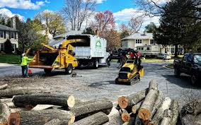 Mentor On The Lake, OH  Tree Services Company